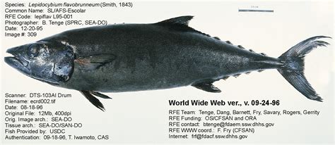 fish species 94|RFE .
